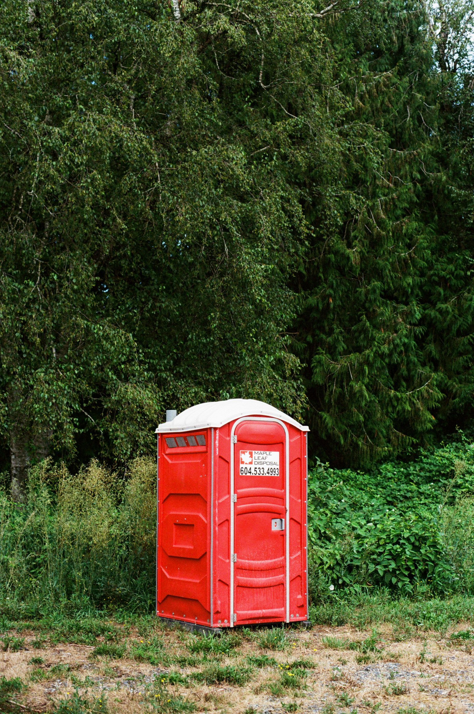 Portable restroom placed at a remote wooded site